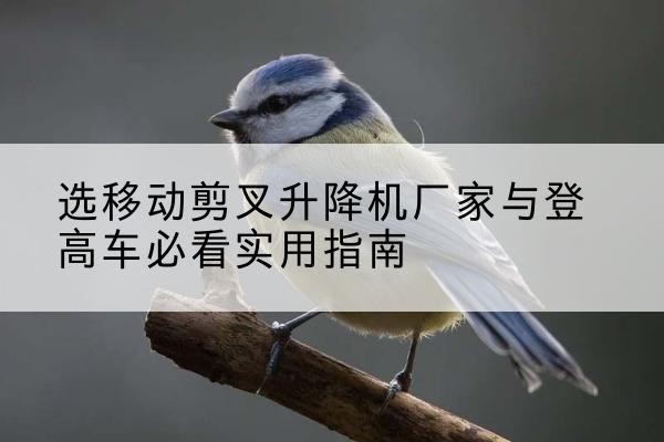 莎车电动升降机厂家-选移动剪叉升降机厂家与登高车必看实用指南