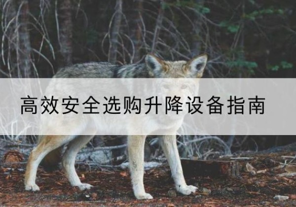 莎车升降货梯厂家推荐-*安全选购升降设备指南