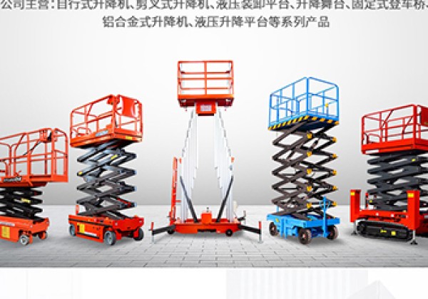 莎车​出口成为核心增长引擎