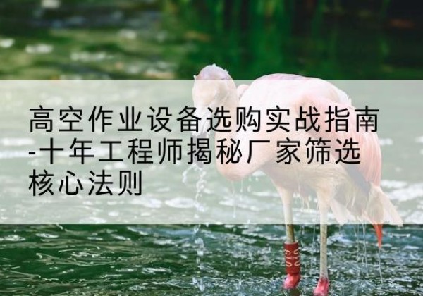 莎车剪叉式升降机厂家-高空作业设备选购实战指南-十年工程师揭秘厂家筛选核心法则